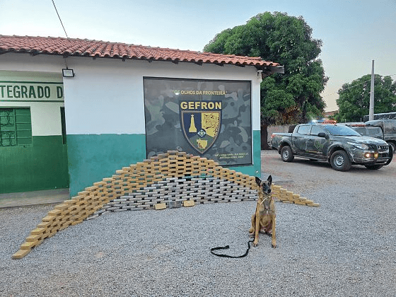 Imagem da notícas