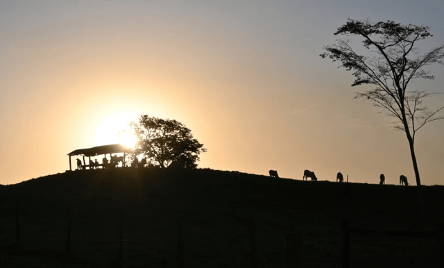Imagem da notícas