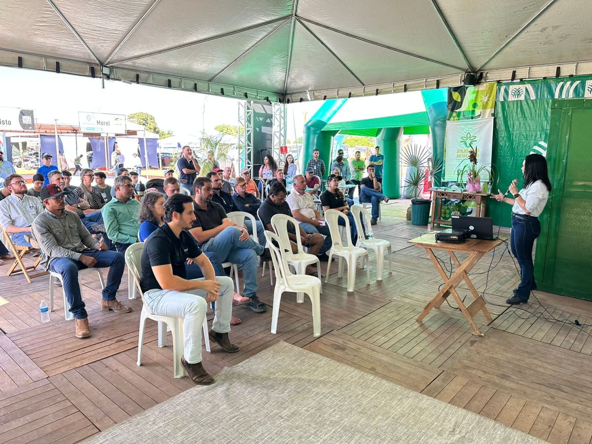 Foto de capa